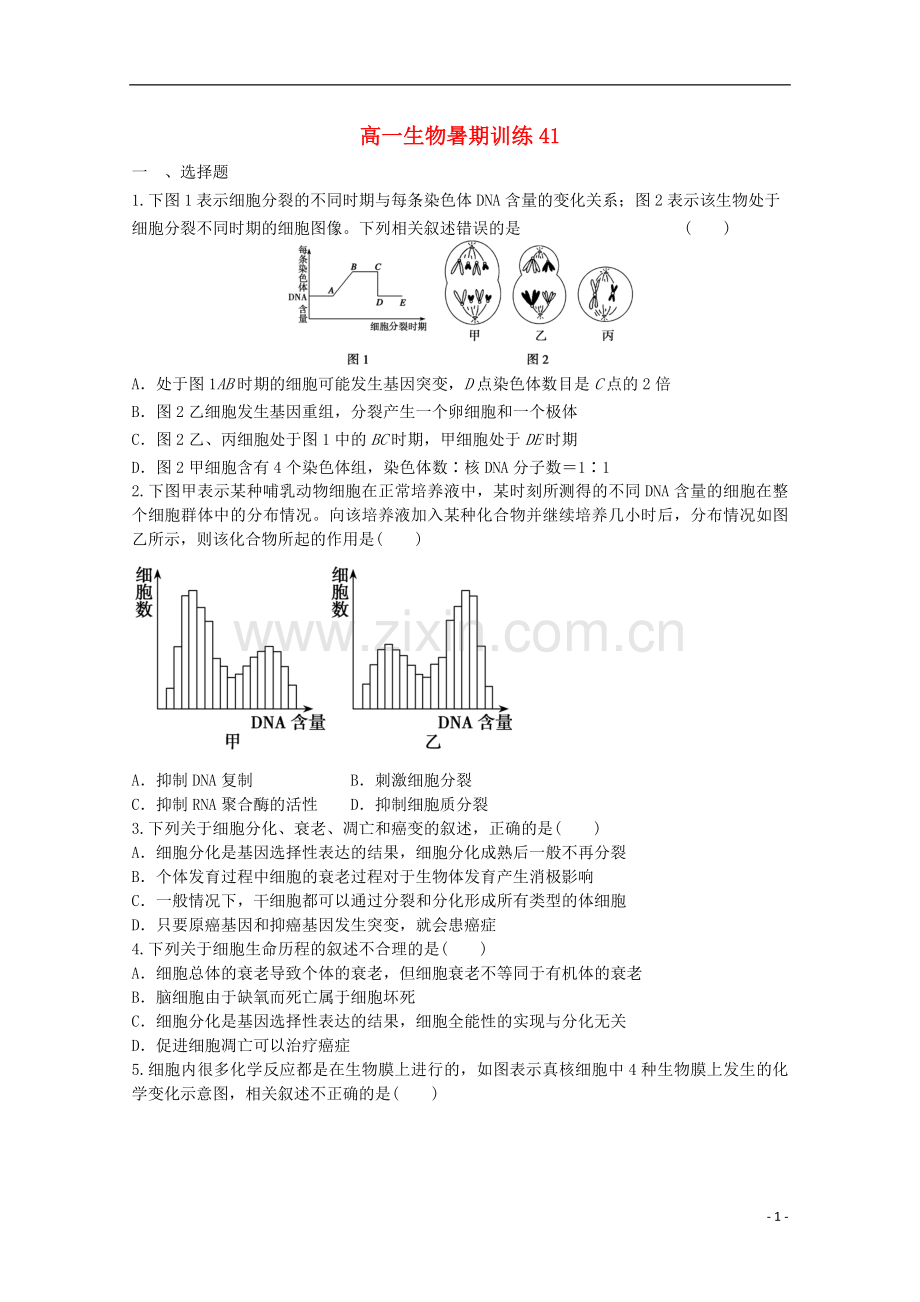 高一生物暑期训练41.doc_第1页