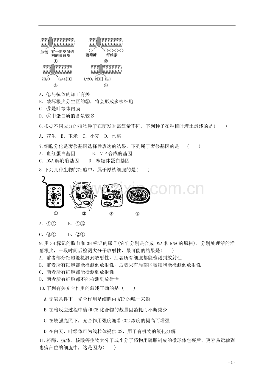 高一生物暑期训练41.doc_第2页