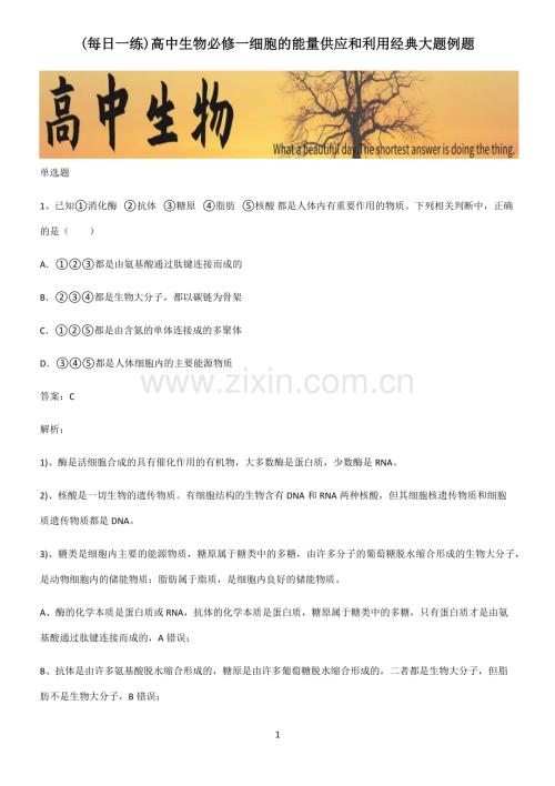 高中生物必修一细胞的能量供应和利用经典大题例题.pdf