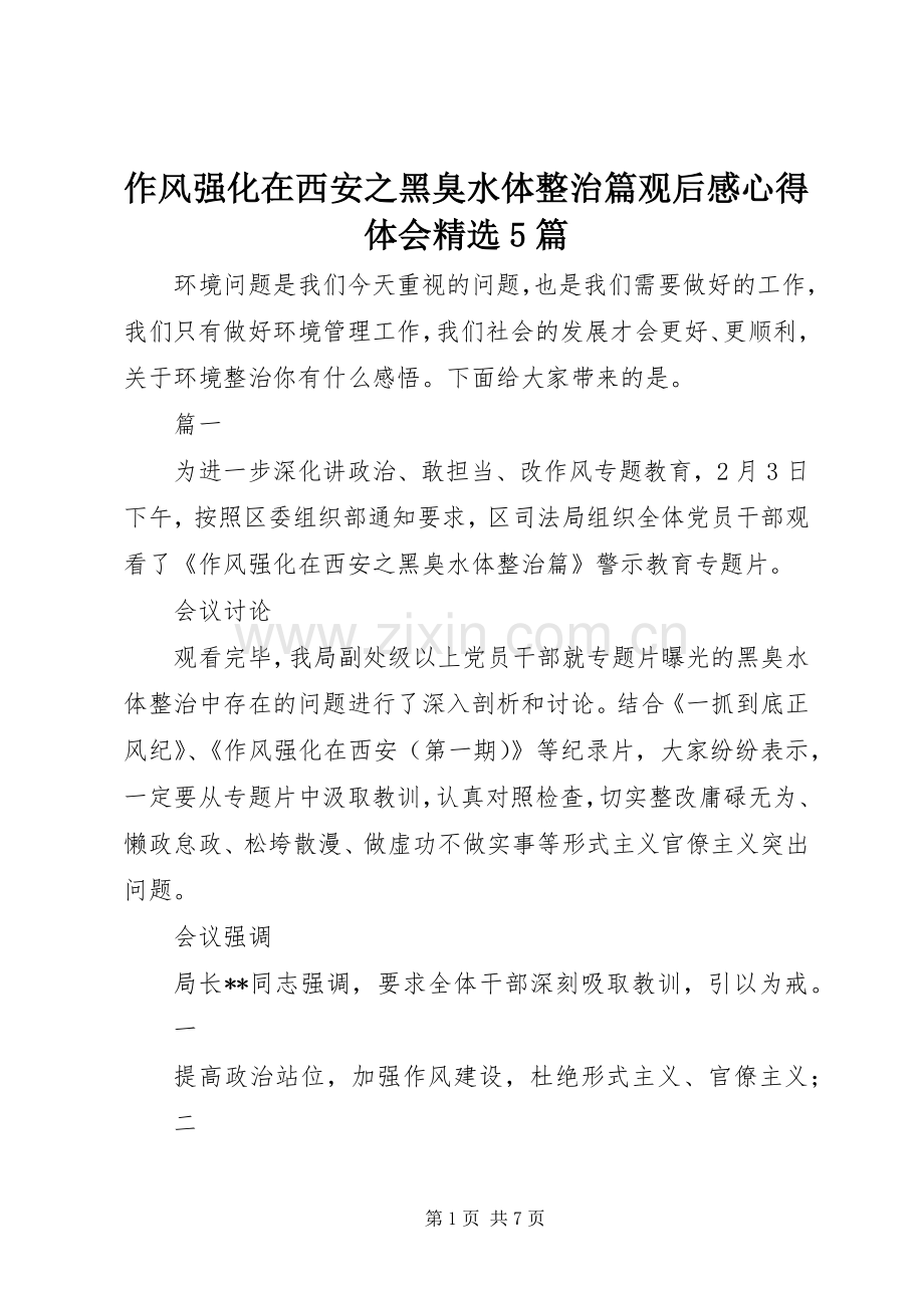 作风强化在西安之黑臭水体整治篇观后感心得体会5篇.docx_第1页