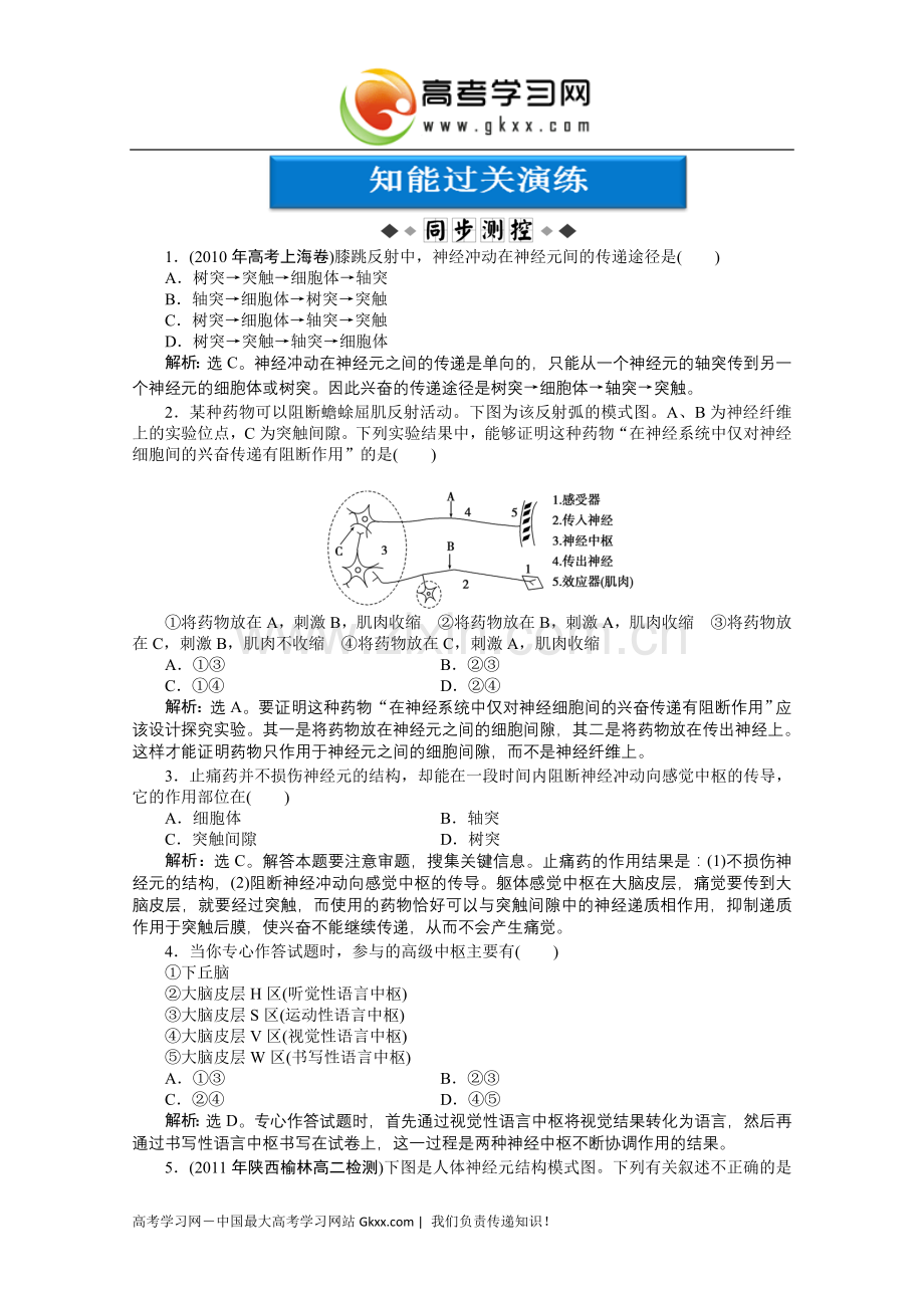 第二章《人体神经调节的结构基础和调节过程、人脑的高级功能.doc_第1页