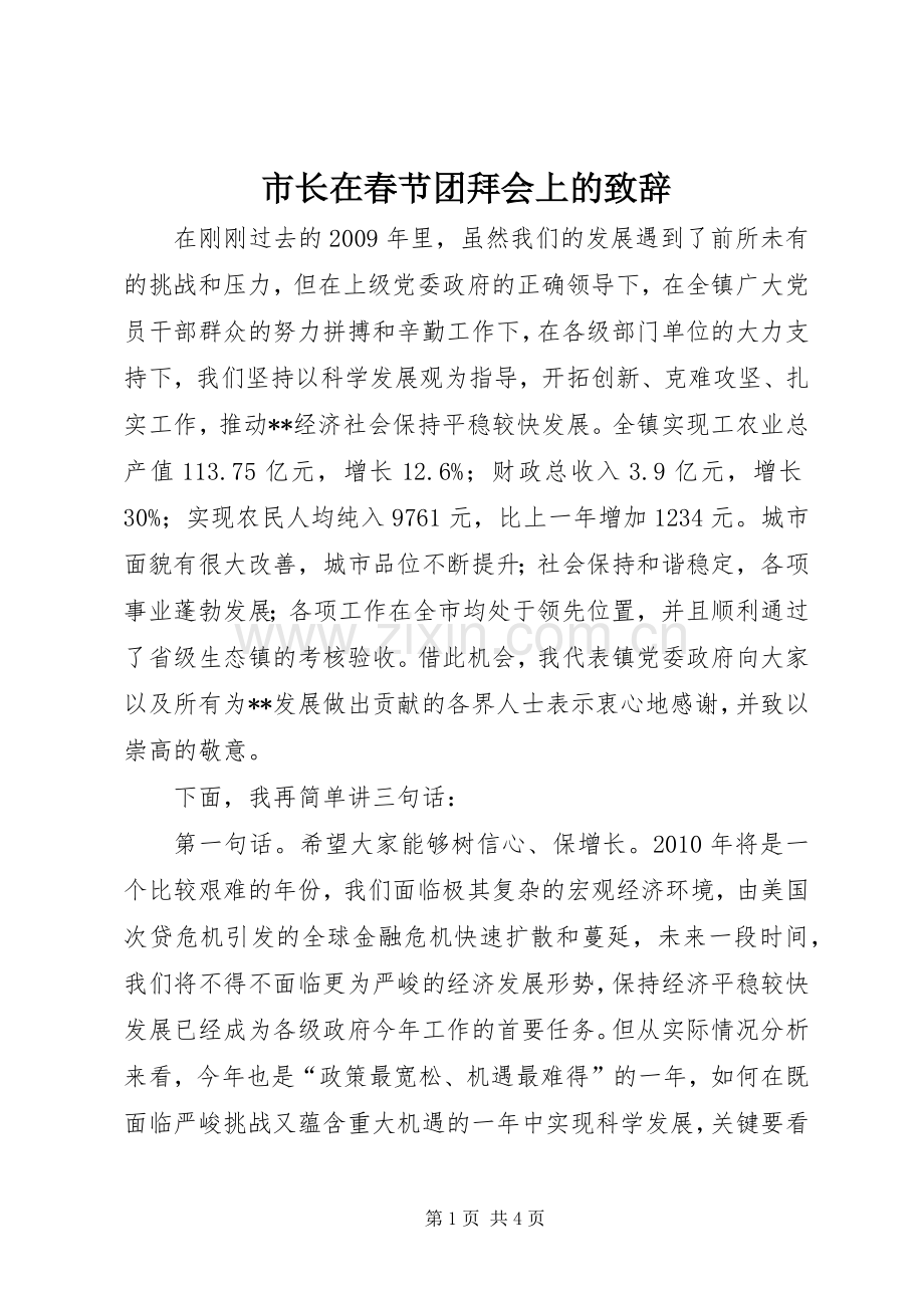 市长在春节团拜会上的致辞.docx_第1页