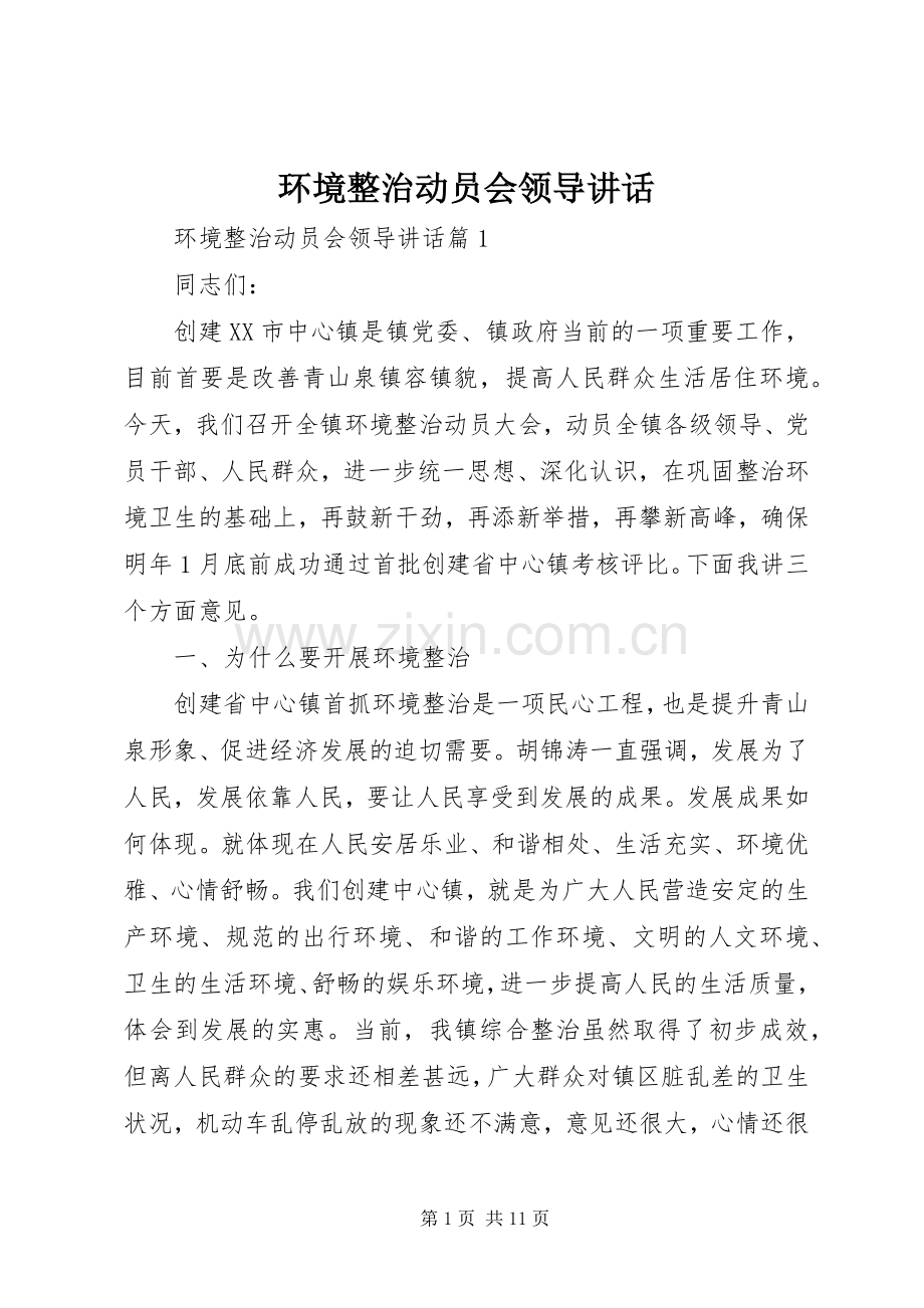 环境整治动员会领导讲话.docx_第1页