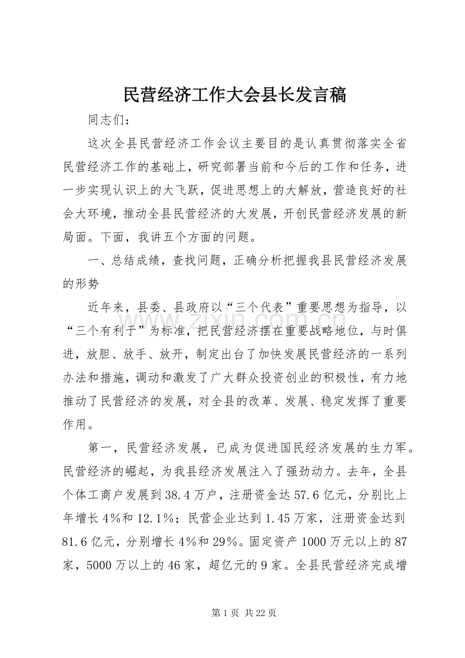 民营经济工作大会县长发言稿.docx_第1页