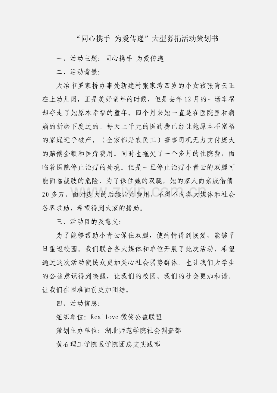 “同心携手 为爱传递”大型募捐活动策划书.docx_第1页