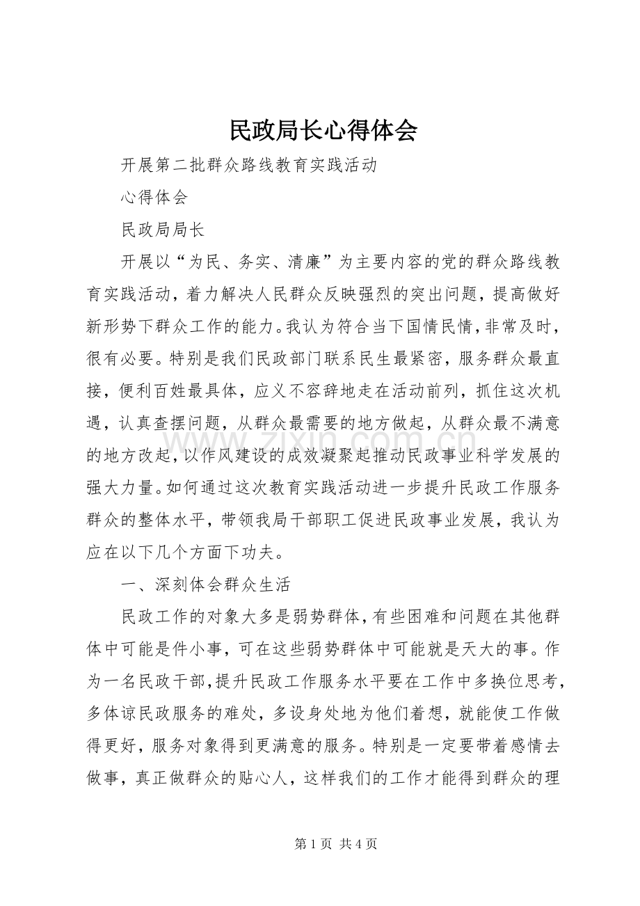 民政局长心得体会.docx_第1页