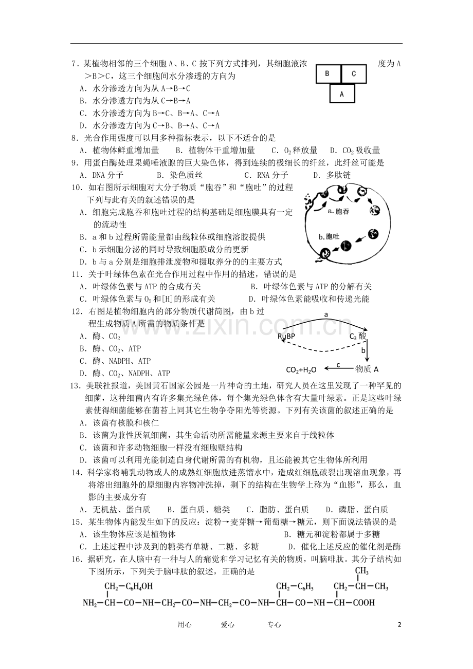 浙江省嘉兴市2012-2013学年高二生物上学期期中试题-理-浙科版.doc_第2页