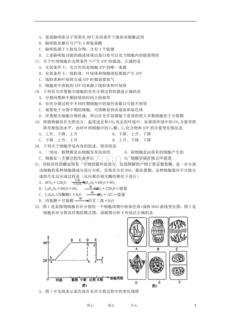 浙江省嘉兴市2012-2013学年高二生物上学期期中试题-理-浙科版.doc_第3页