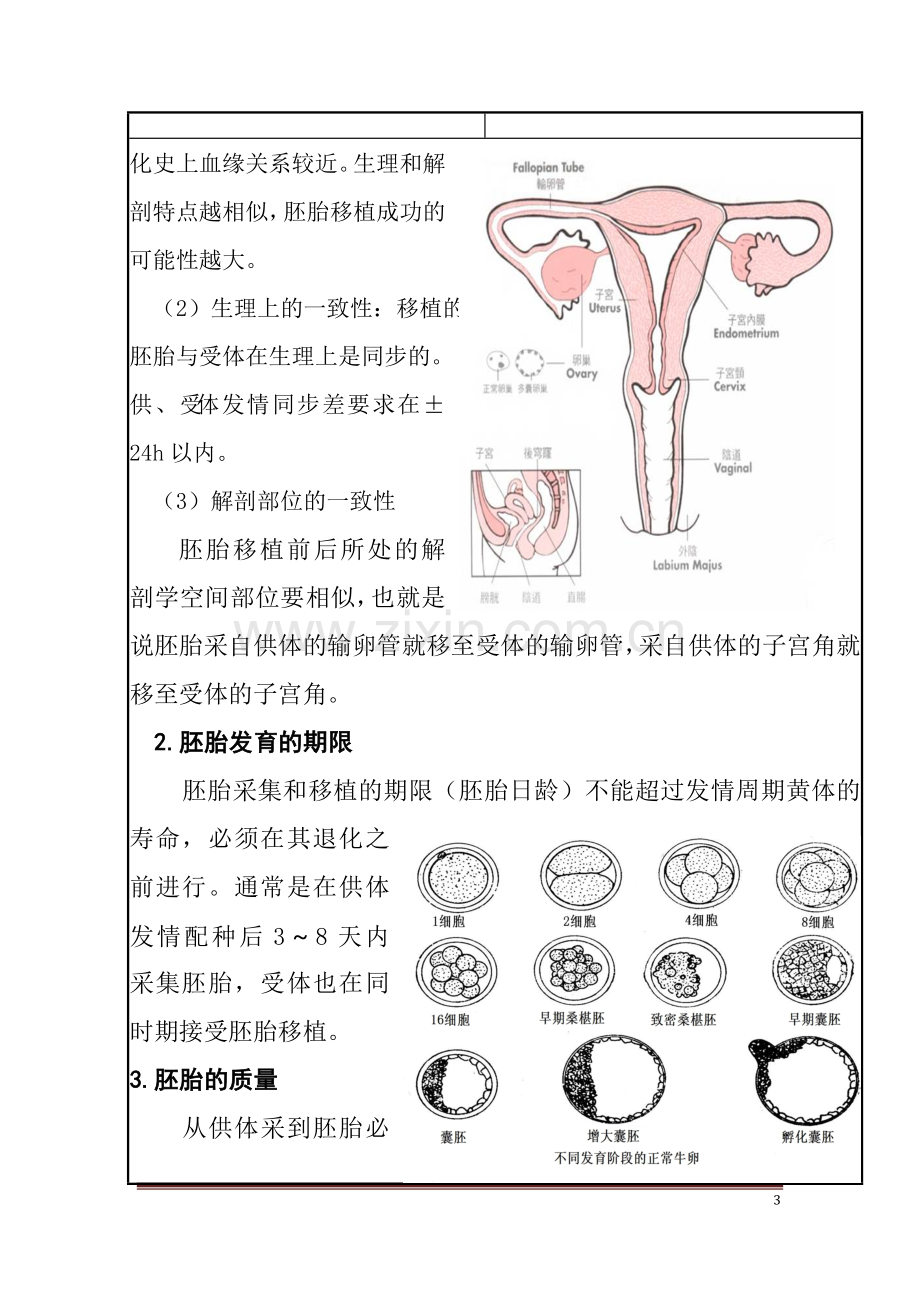 胚胎移植的基本原则.doc_第3页