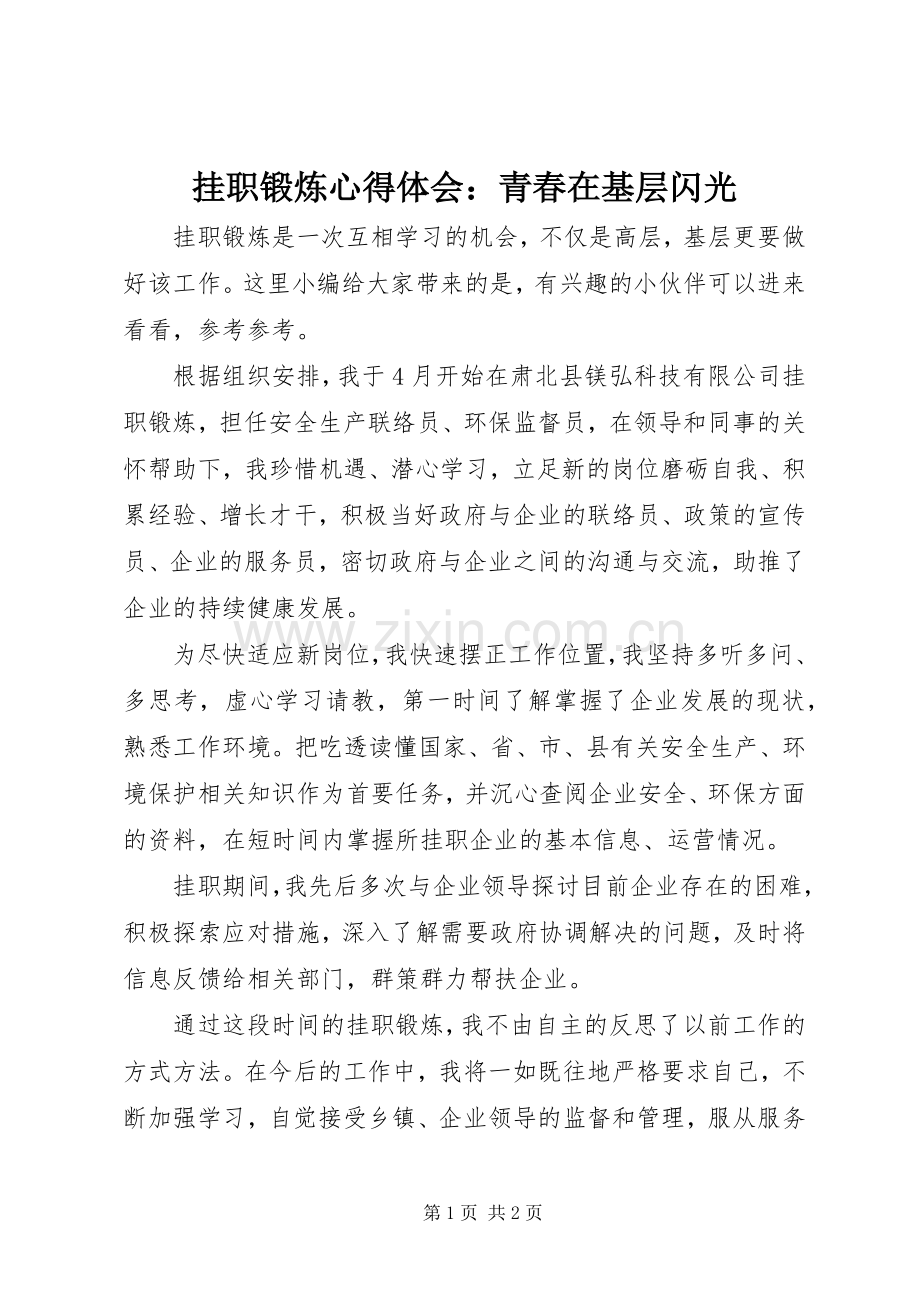 挂职锻炼心得体会：青春在基层闪光.docx_第1页