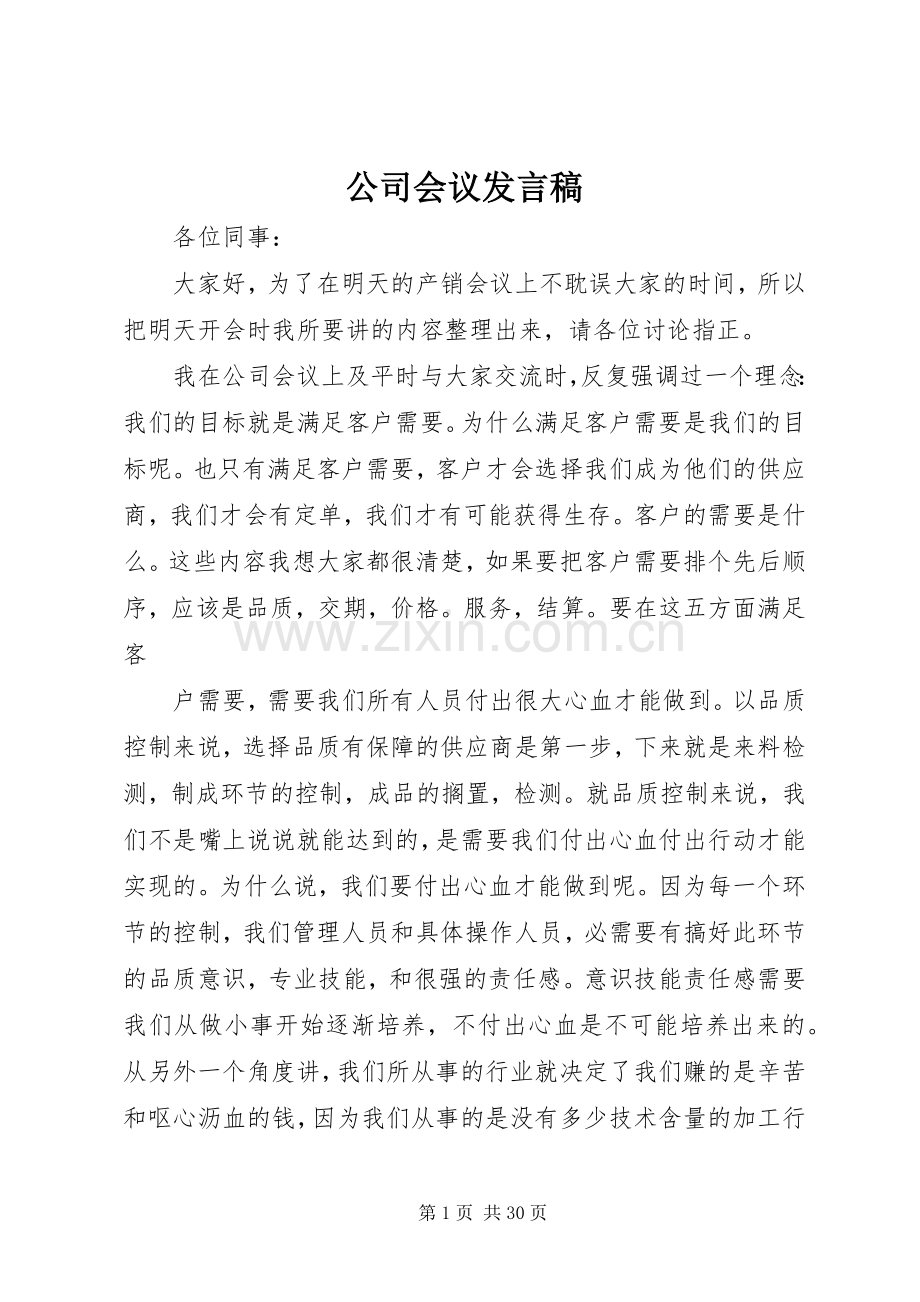 公司会议发言稿.docx_第1页