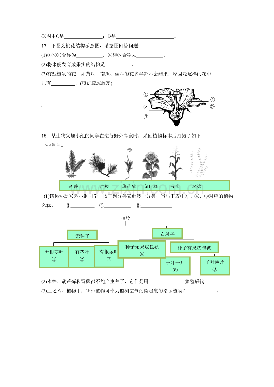 《第1节-地面上的植物》同步练习1.doc_第3页