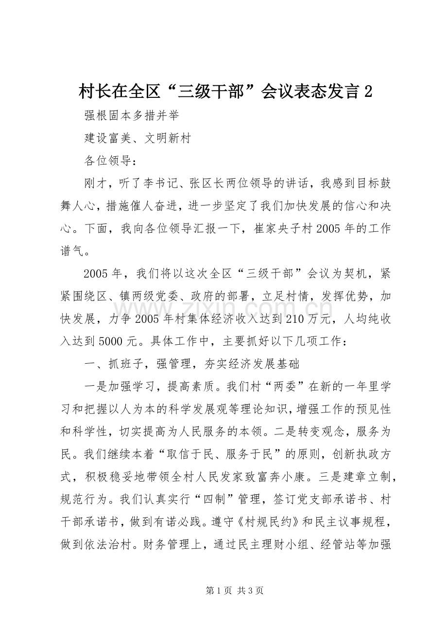 村长在全区“三级干部”会议表态发言2.docx_第1页