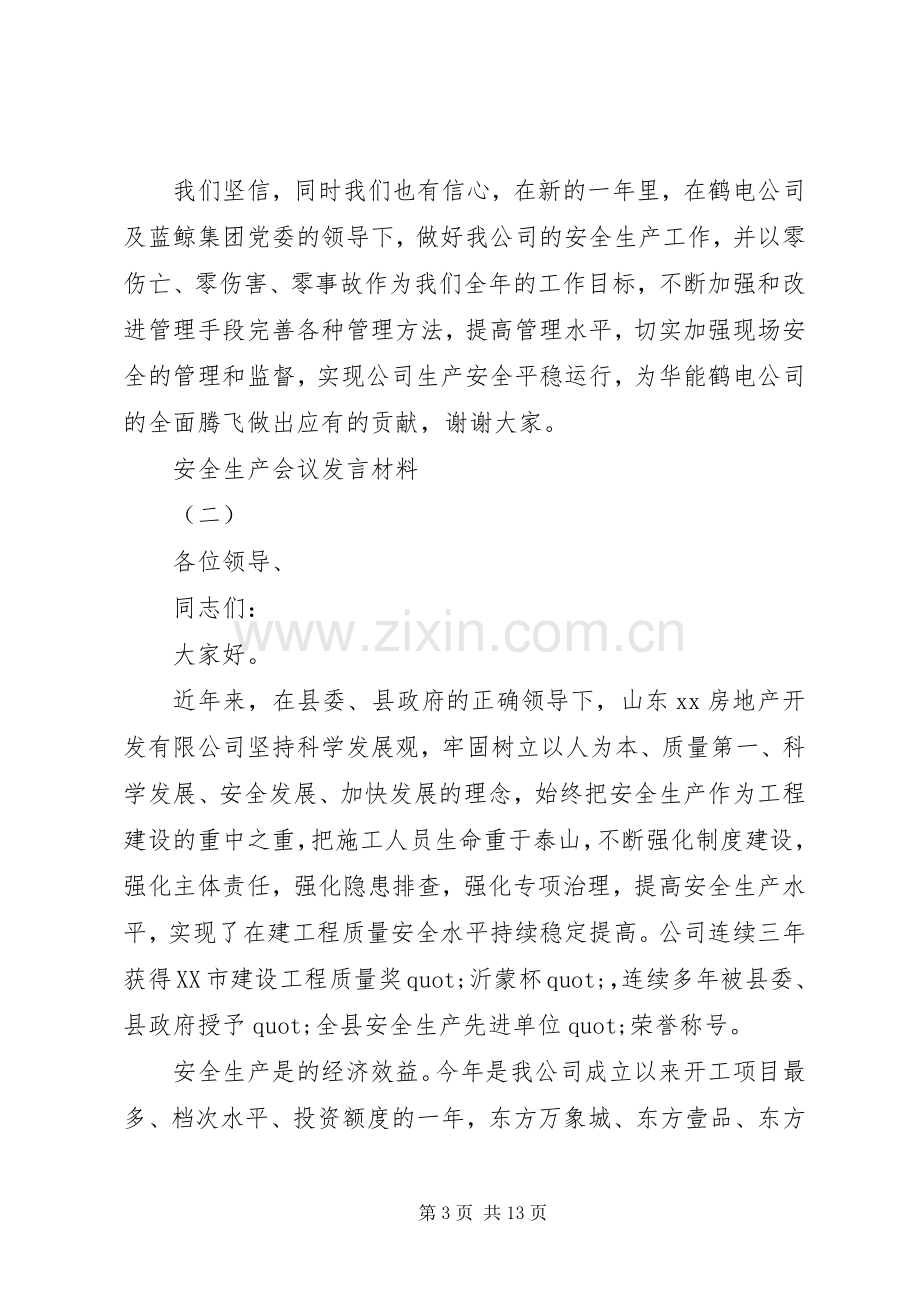 安全生产会议发言材料示例范文.docx_第3页