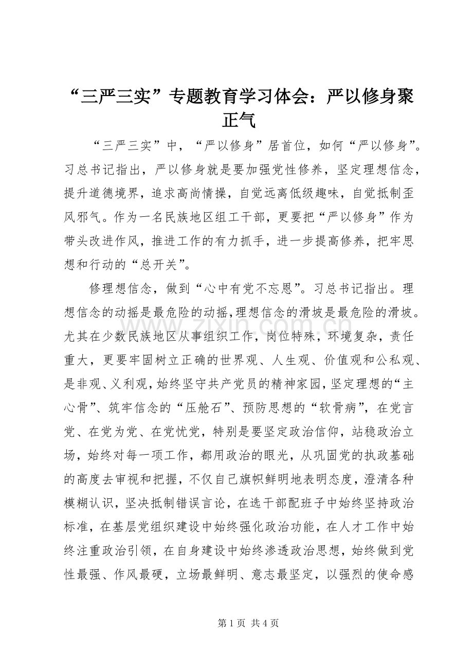 “三严三实”专题教育学习体会：严以修身聚正气.docx_第1页