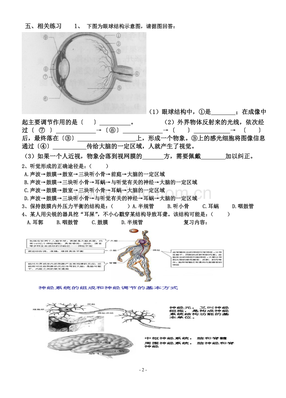 四、人体通过神经系统调节生命活动学案].doc_第2页