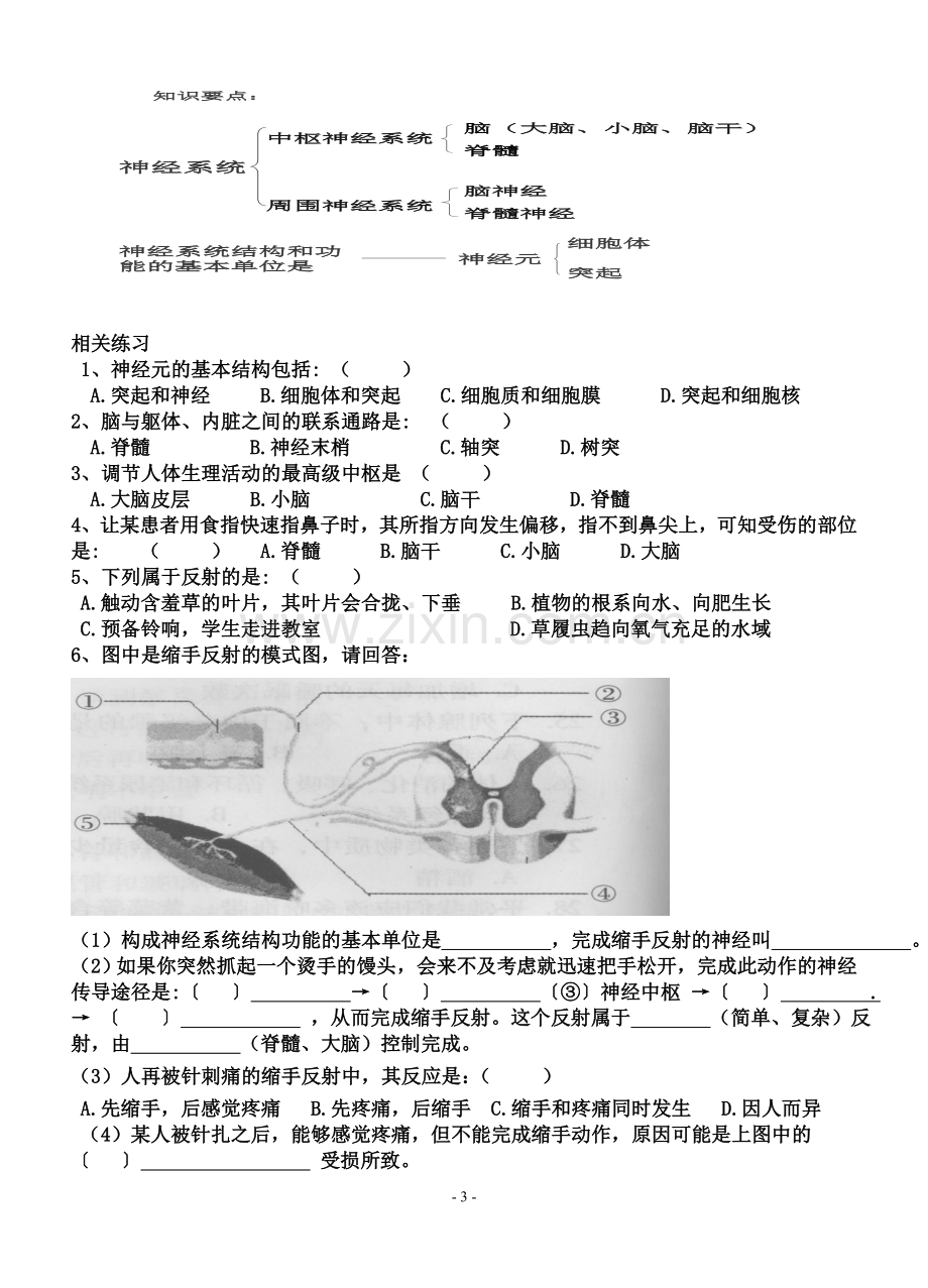 四、人体通过神经系统调节生命活动学案].doc_第3页