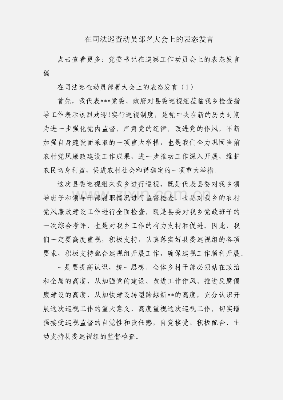 在司法巡查动员部署大会上的表态发言.docx_第1页