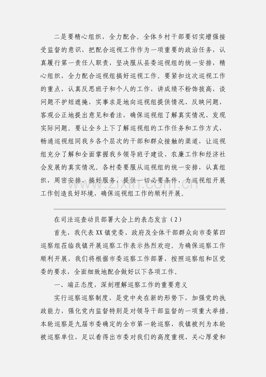 在司法巡查动员部署大会上的表态发言.docx_第2页