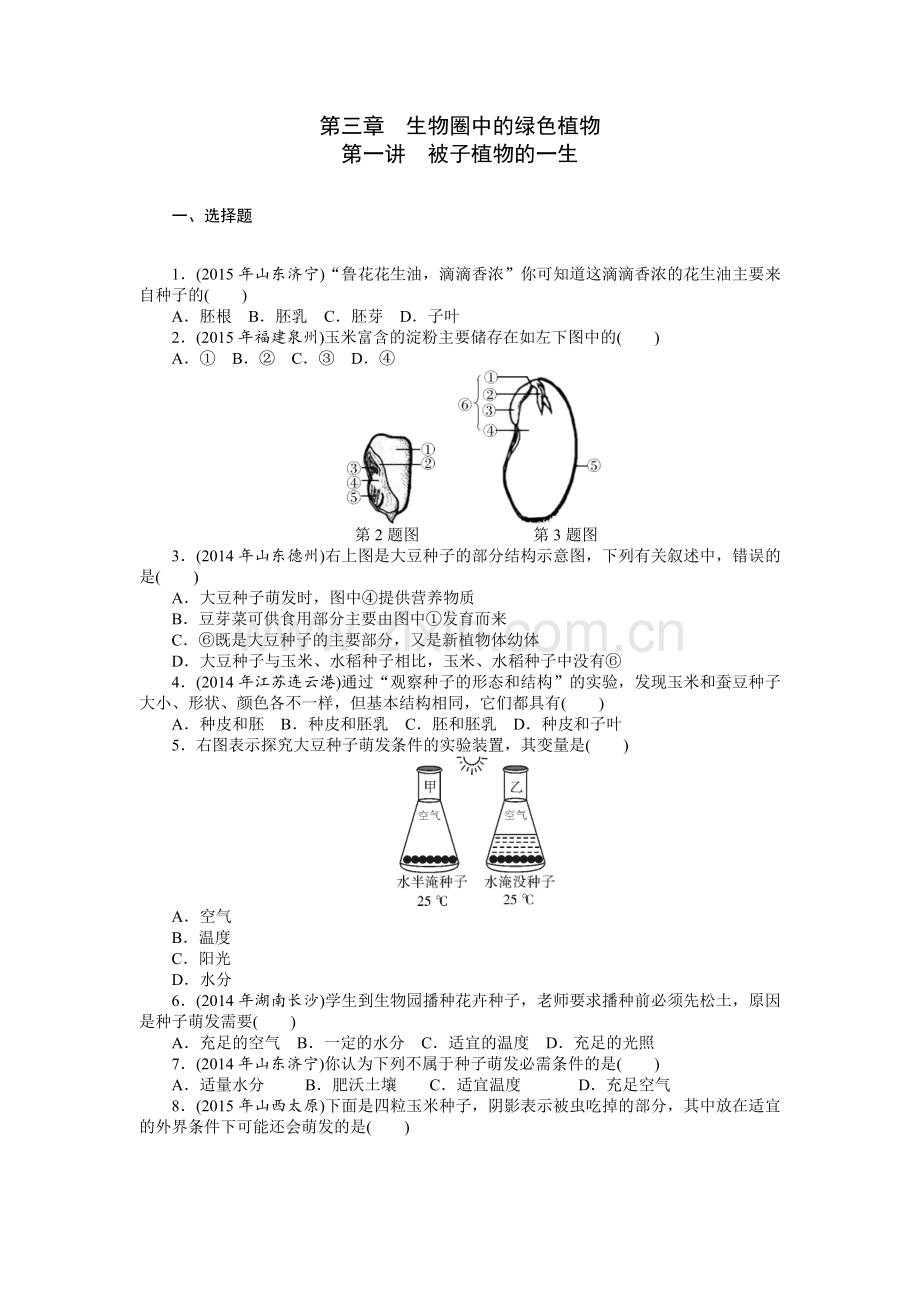 生物中考复习专题三---生物圈中的绿色植物.doc_第1页