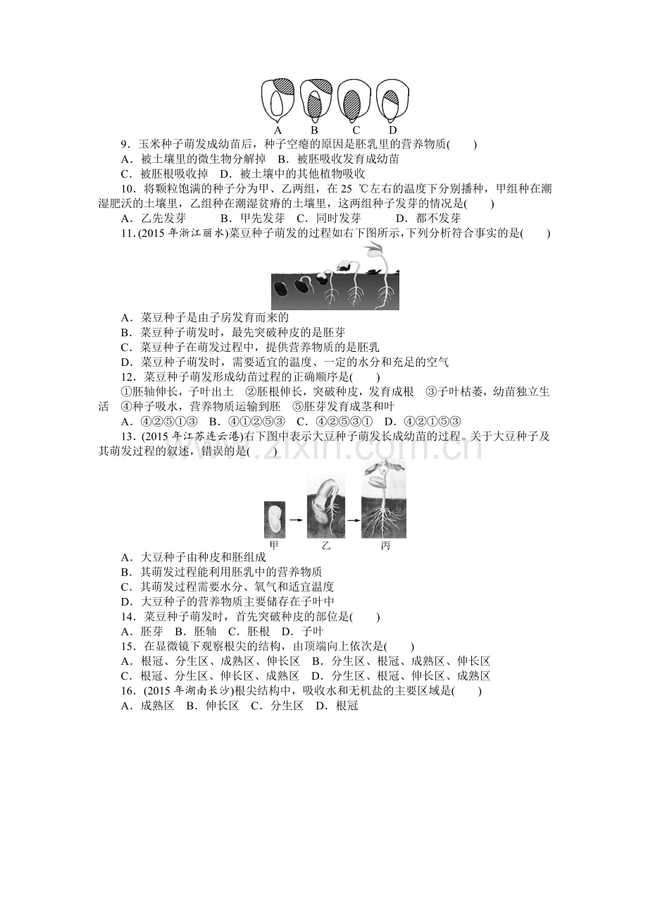 生物中考复习专题三---生物圈中的绿色植物.doc_第2页