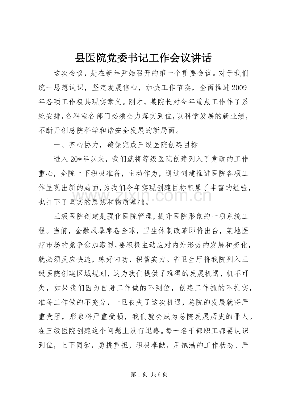 县医院党委书记工作会议讲话.docx_第1页