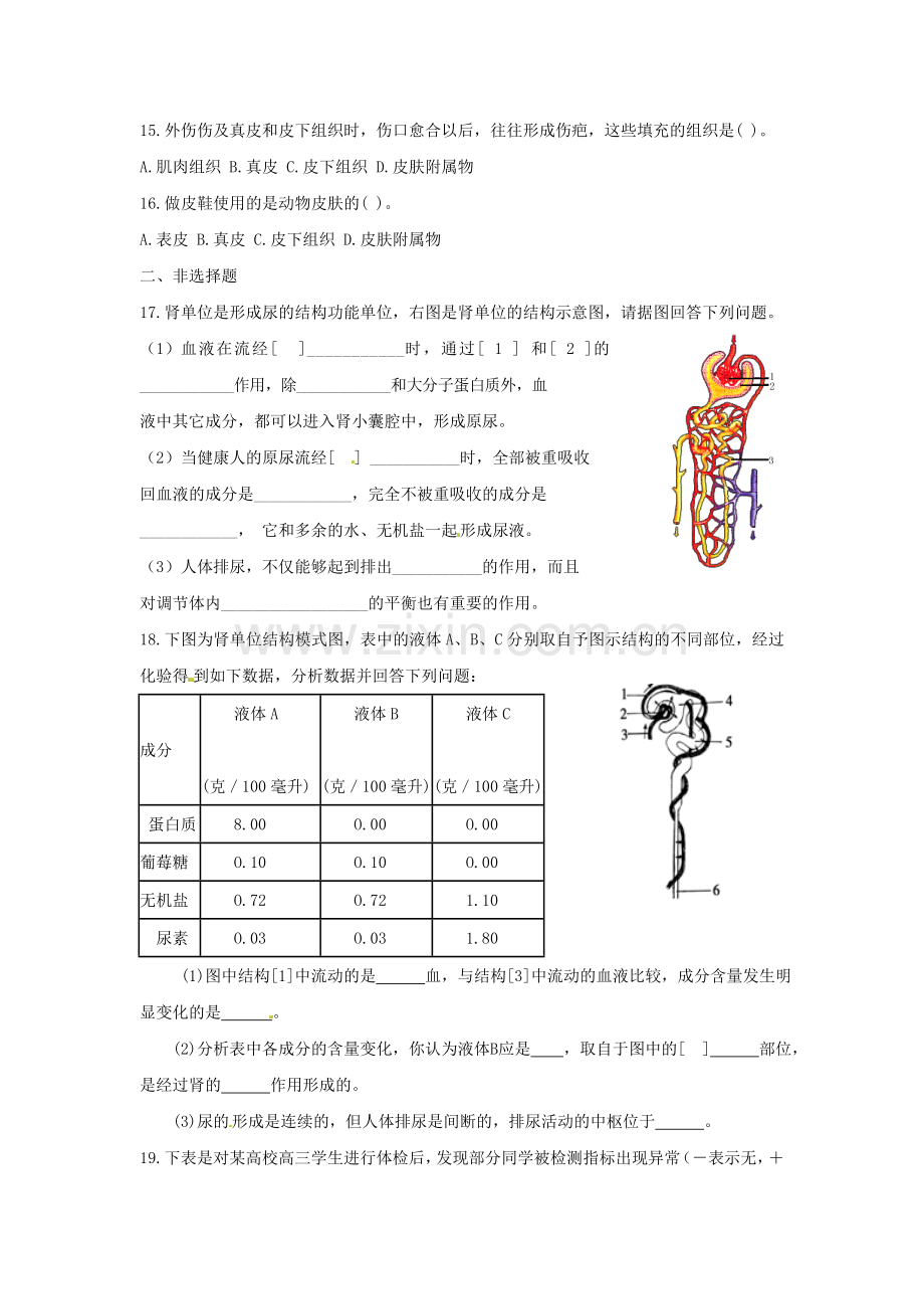 七年级生物人体内废物的排出测试题.doc_第3页