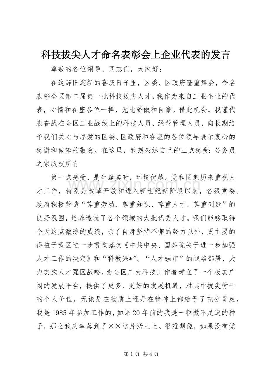 科技拔尖人才命名表彰会上企业代表的发言.docx_第1页