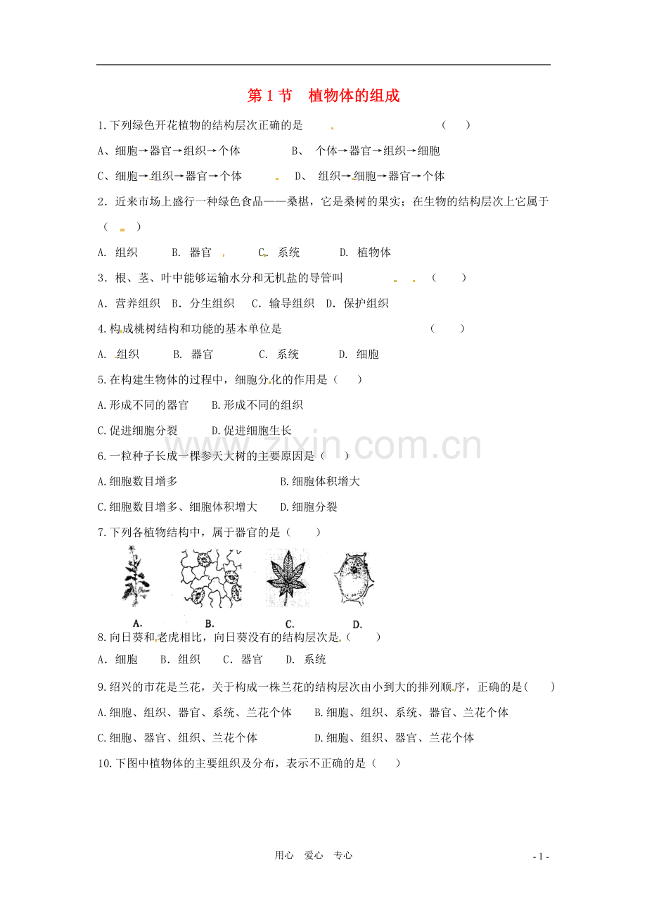 七年级生物下册-8.1《植物体的组成》同步练习-苏科版.doc_第1页