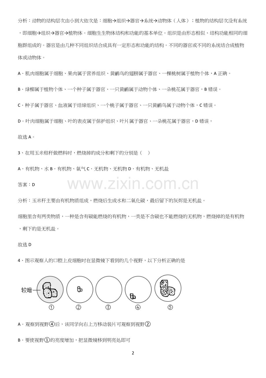 人教版2023初中生物七年级上册第二单元生物体的结构层次易错知识点总结.docx_第2页