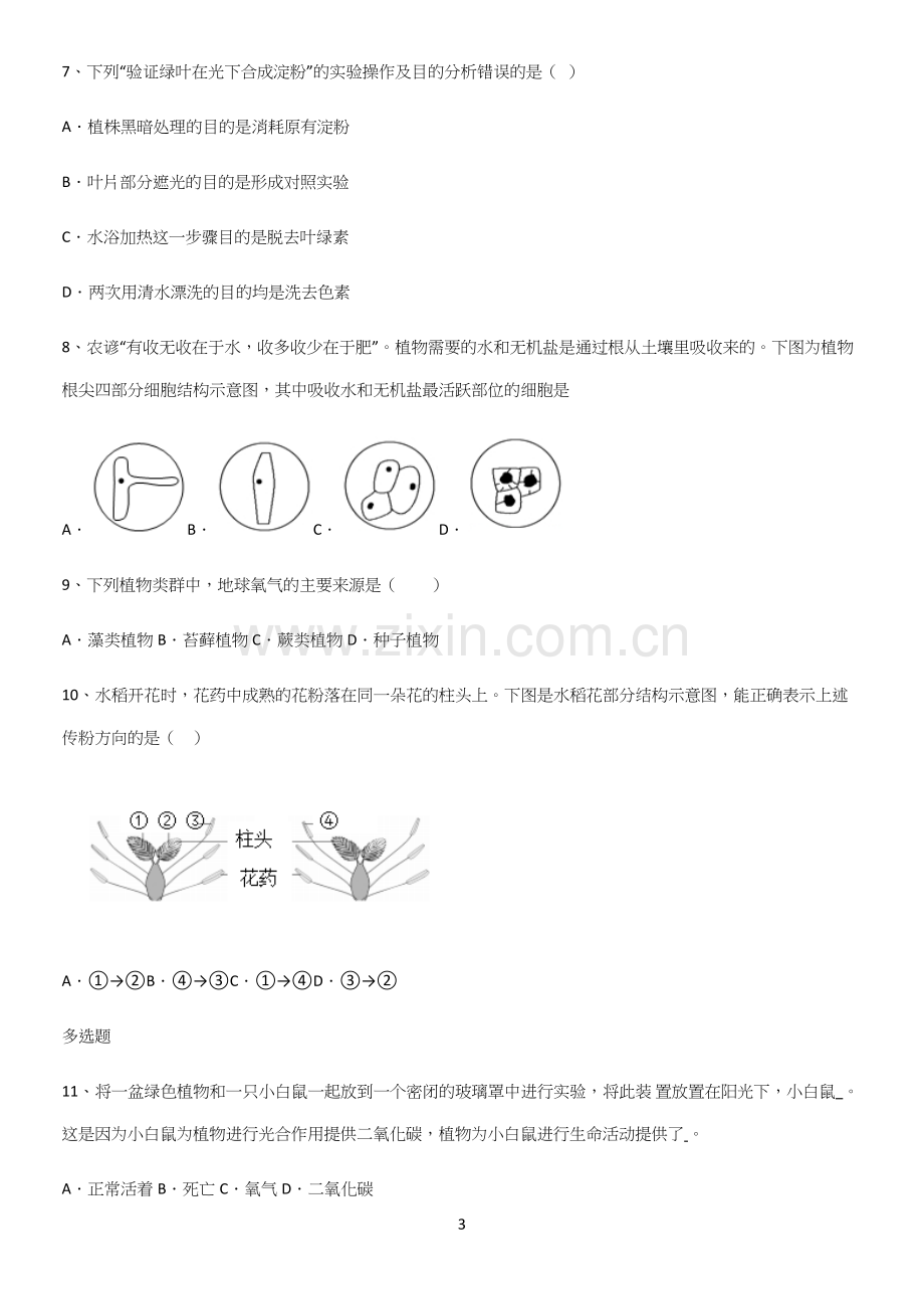 通用版初中生物七年级上册第三单元生物圈中的绿色植物知识点题库.docx_第3页