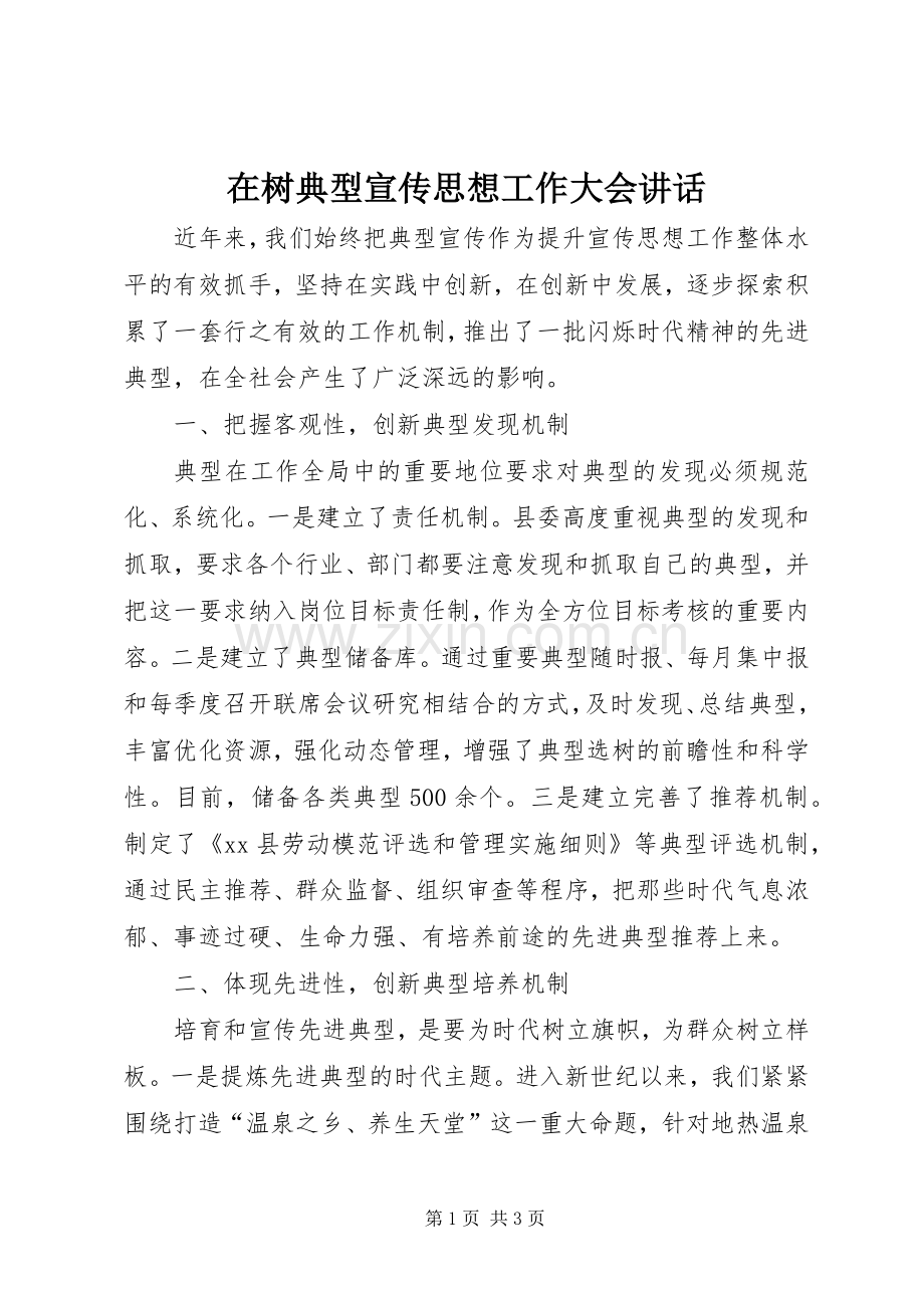 在树典型宣传思想工作大会讲话.docx_第1页