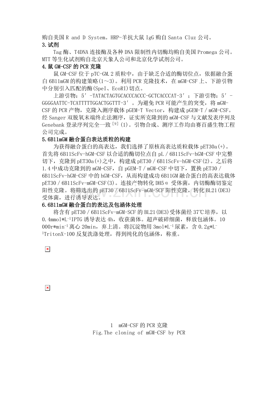 卵巢癌抗独特型单链抗体6B11ScFvmGM-CSF融合蛋白.doc_第3页