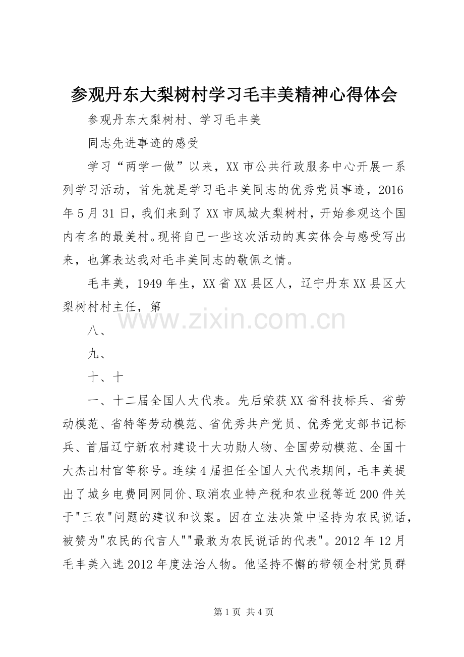 参观丹东大梨树村学习毛丰美精神心得体会.docx_第1页