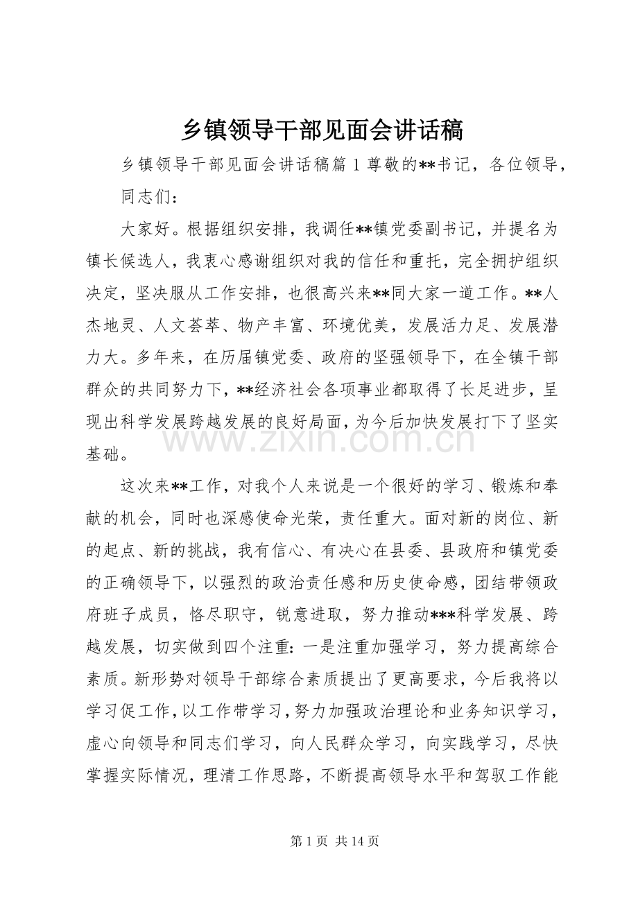 乡镇领导干部见面会讲话稿.docx_第1页