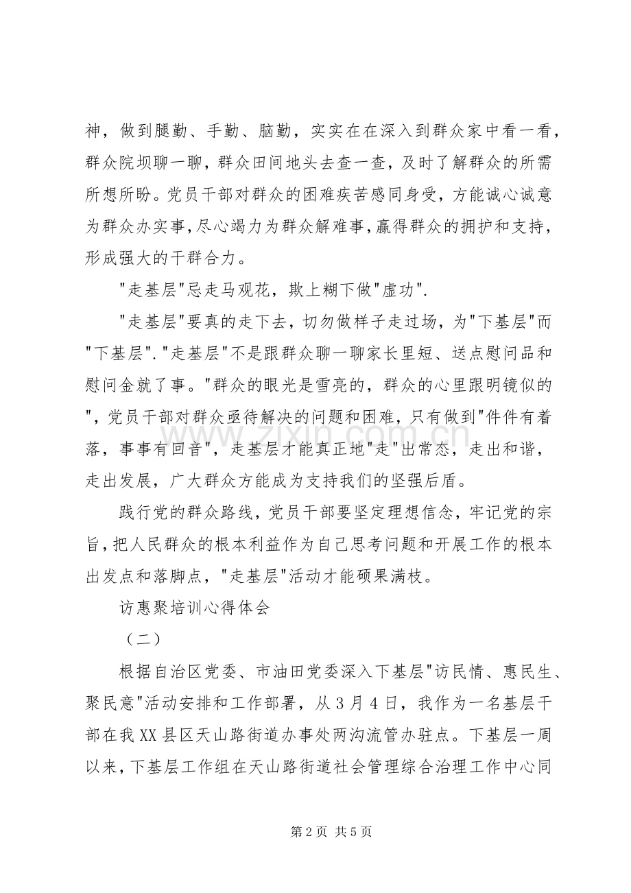 访惠聚培训心得体会.docx_第2页