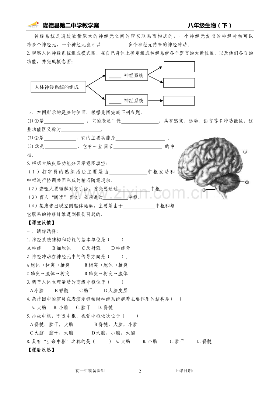 第一节人体的神经调节.doc_第2页