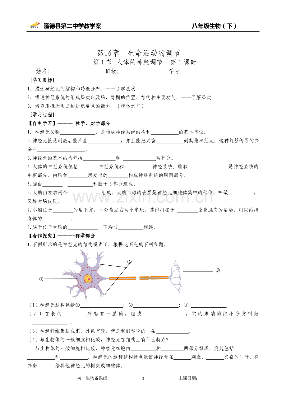 第一节人体的神经调节.doc_第3页