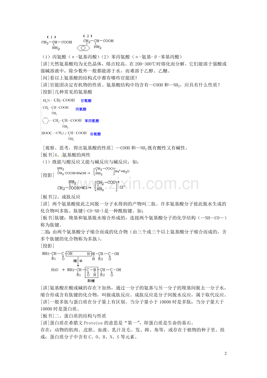 安徽省滁州二中高中化学《第四章-生命中的基础有机化学物质-第三节-蛋白质和核酸-新人教版选修5.doc_第2页