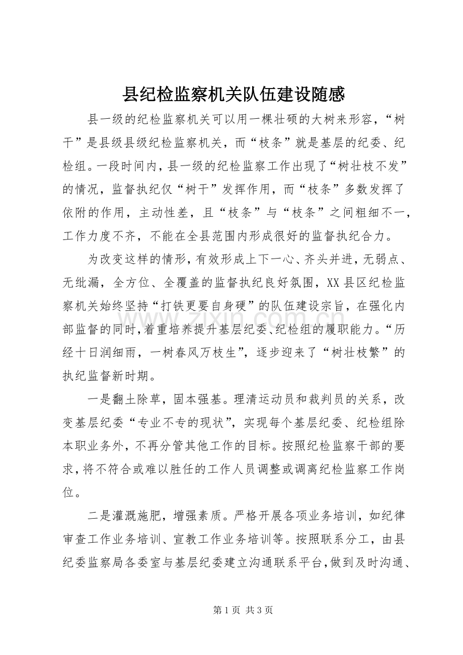 县纪检监察机关队伍建设随感.docx_第1页