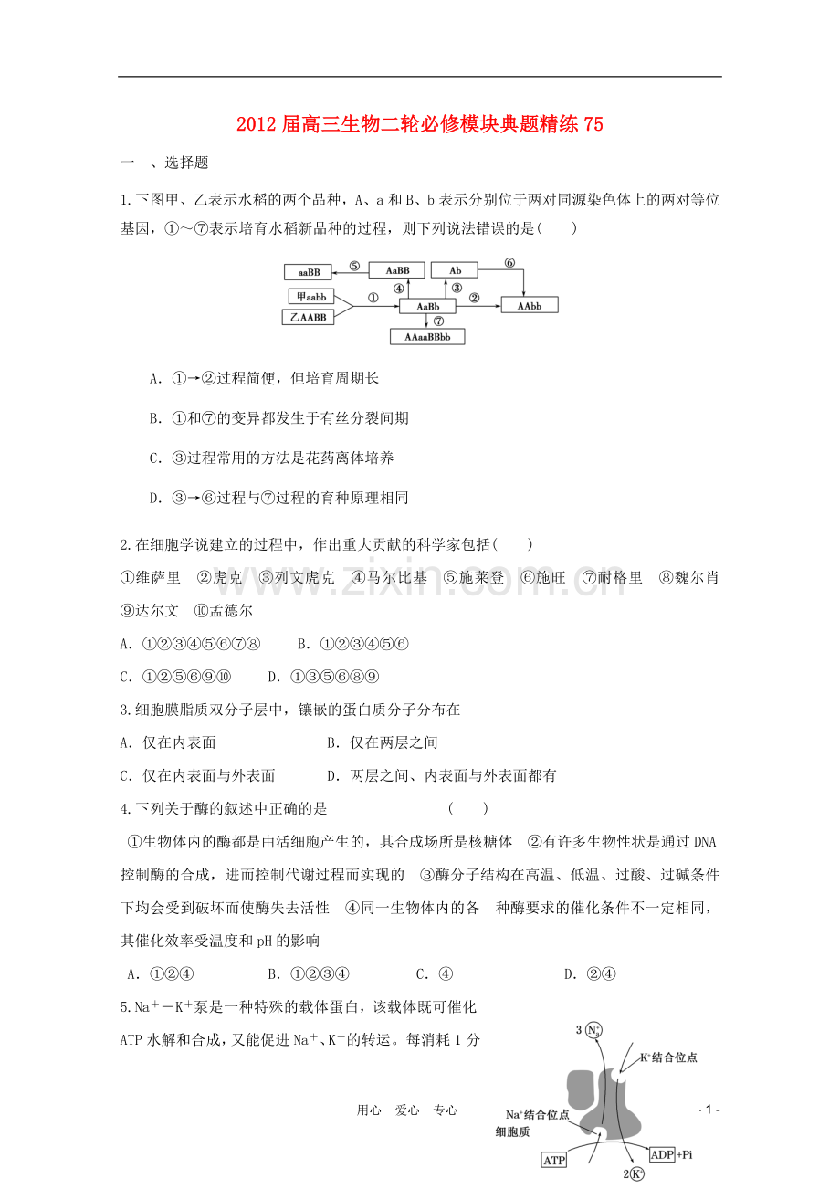 高三生物二轮-模块典题精练75-新人教版必修.doc_第1页