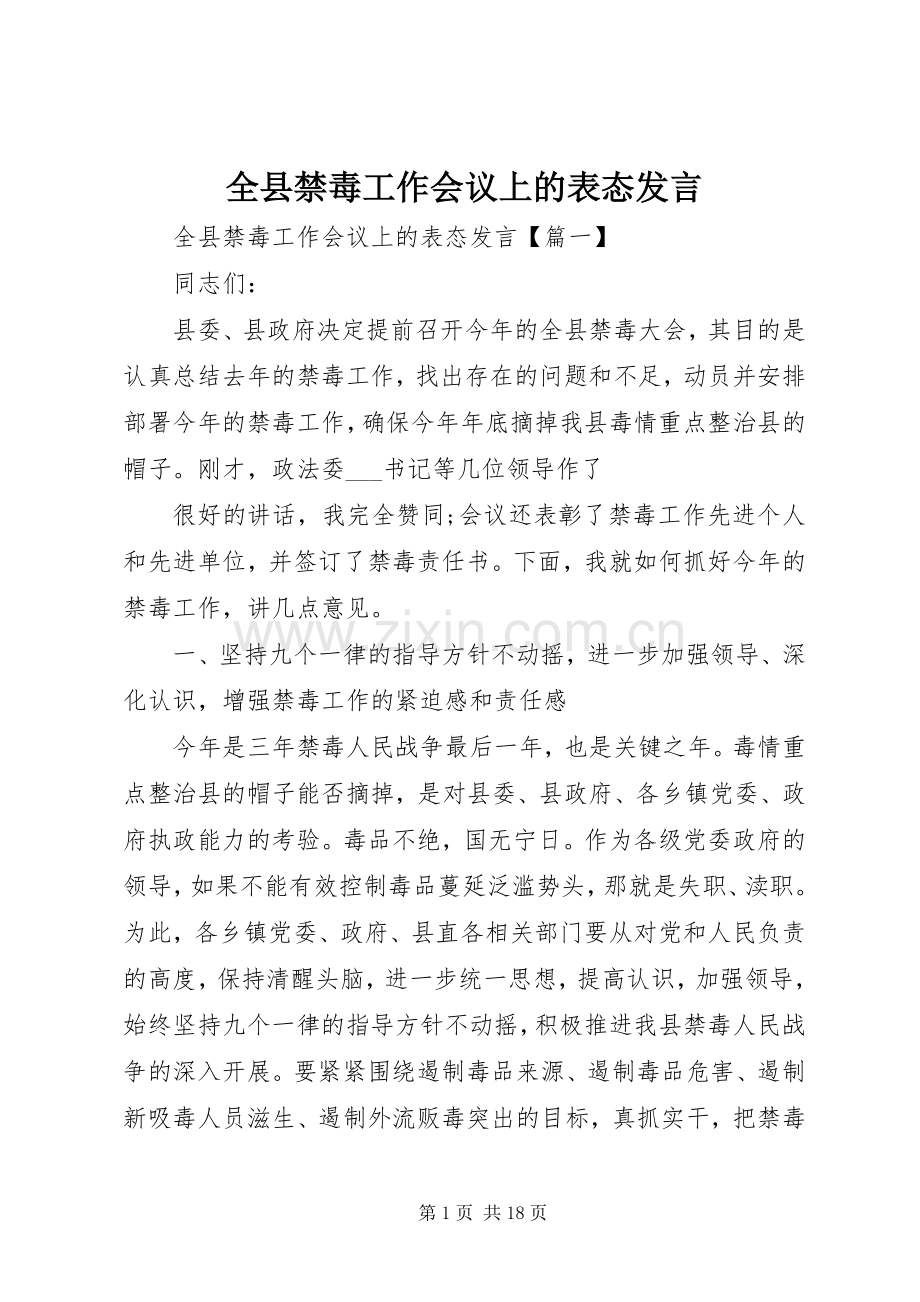 全县禁毒工作会议上的表态发言.docx_第1页