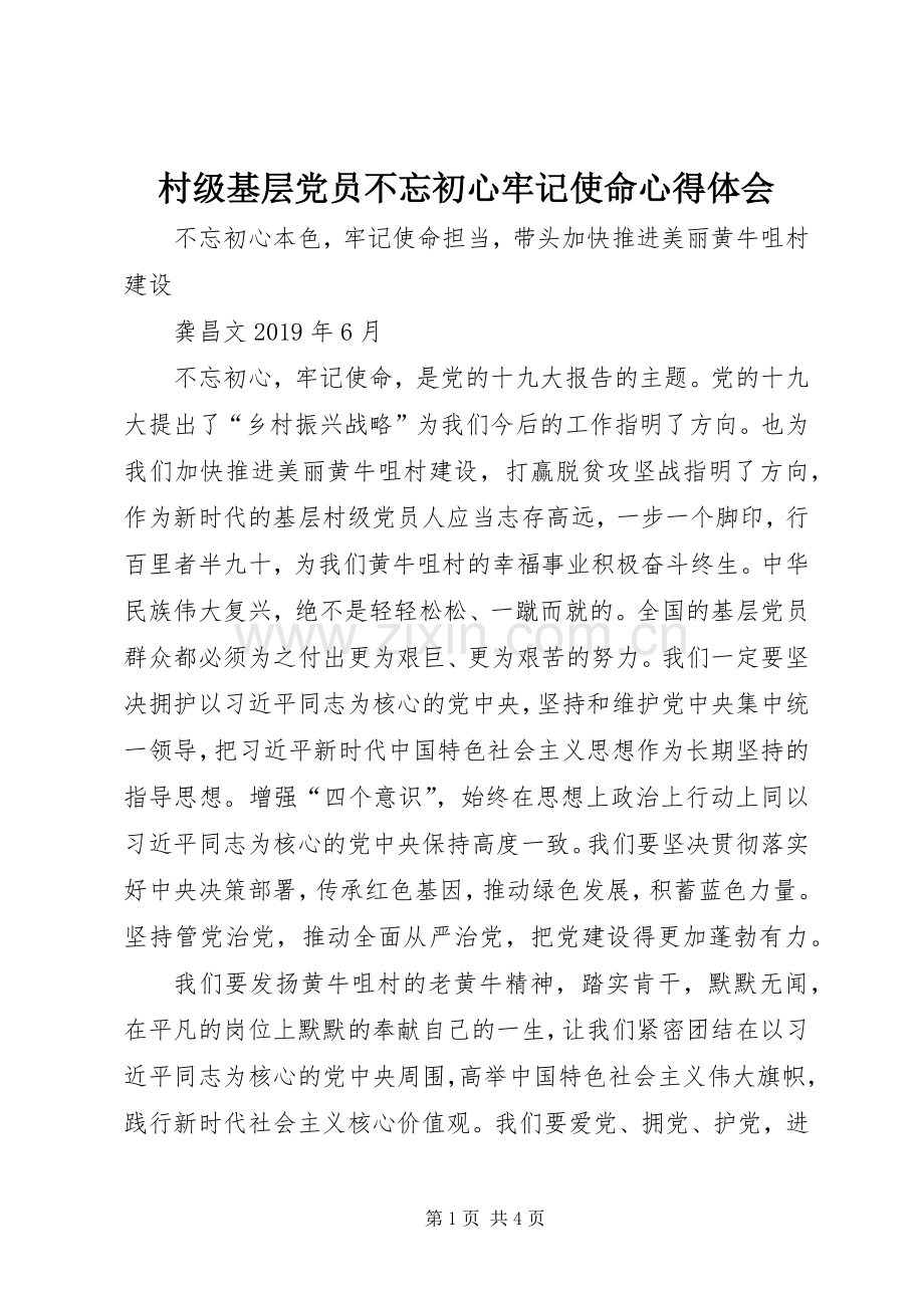 村级基层党员不忘初心牢记使命心得体会.docx_第1页