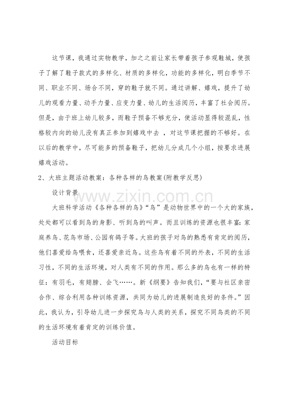 大班主题各种各样的鞋子教案反思.doc_第3页