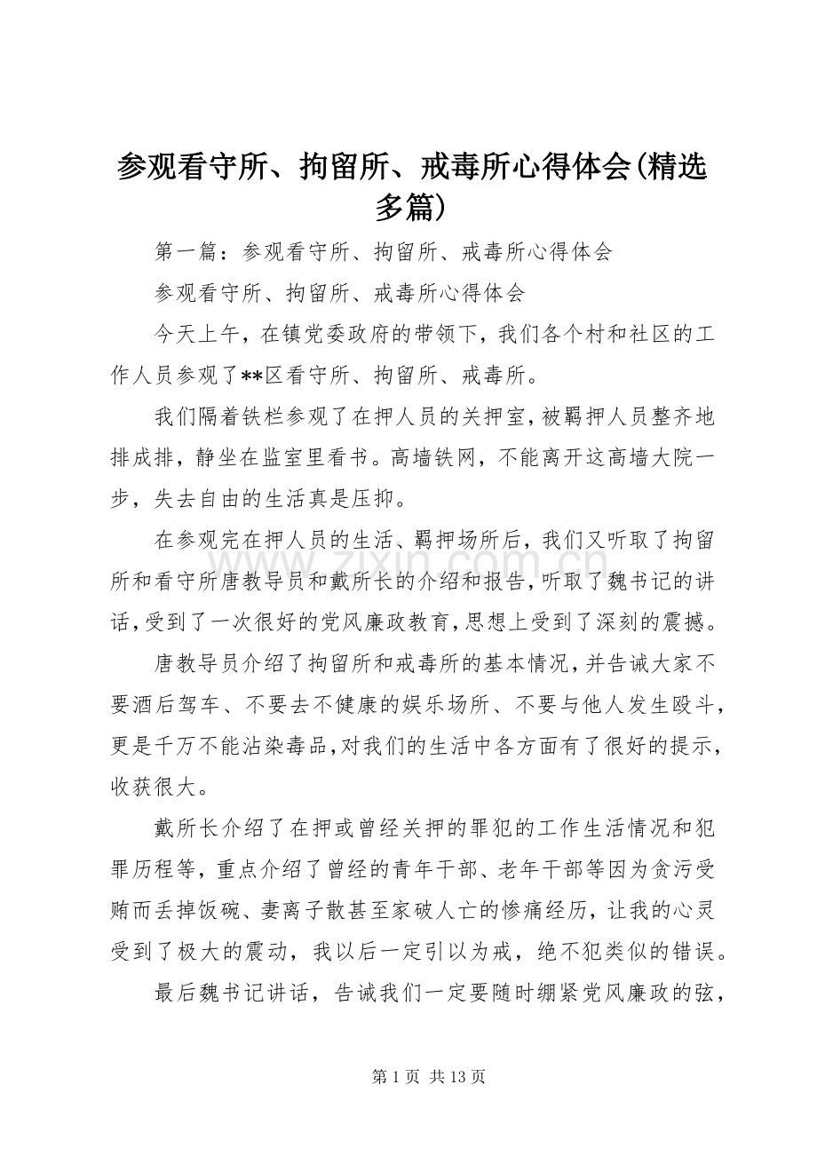 参观看守所、拘留所、戒毒所心得体会(多篇).docx_第1页