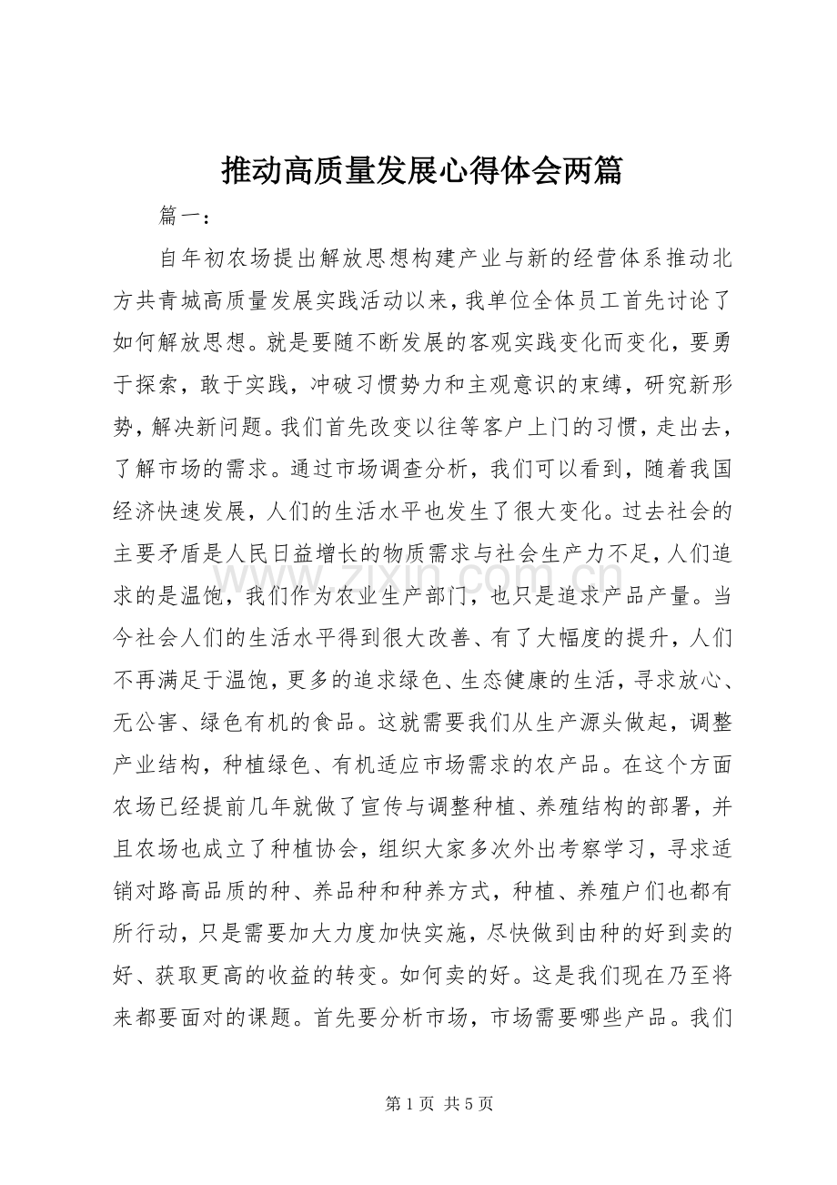 推动高质量发展心得体会两篇.docx_第1页