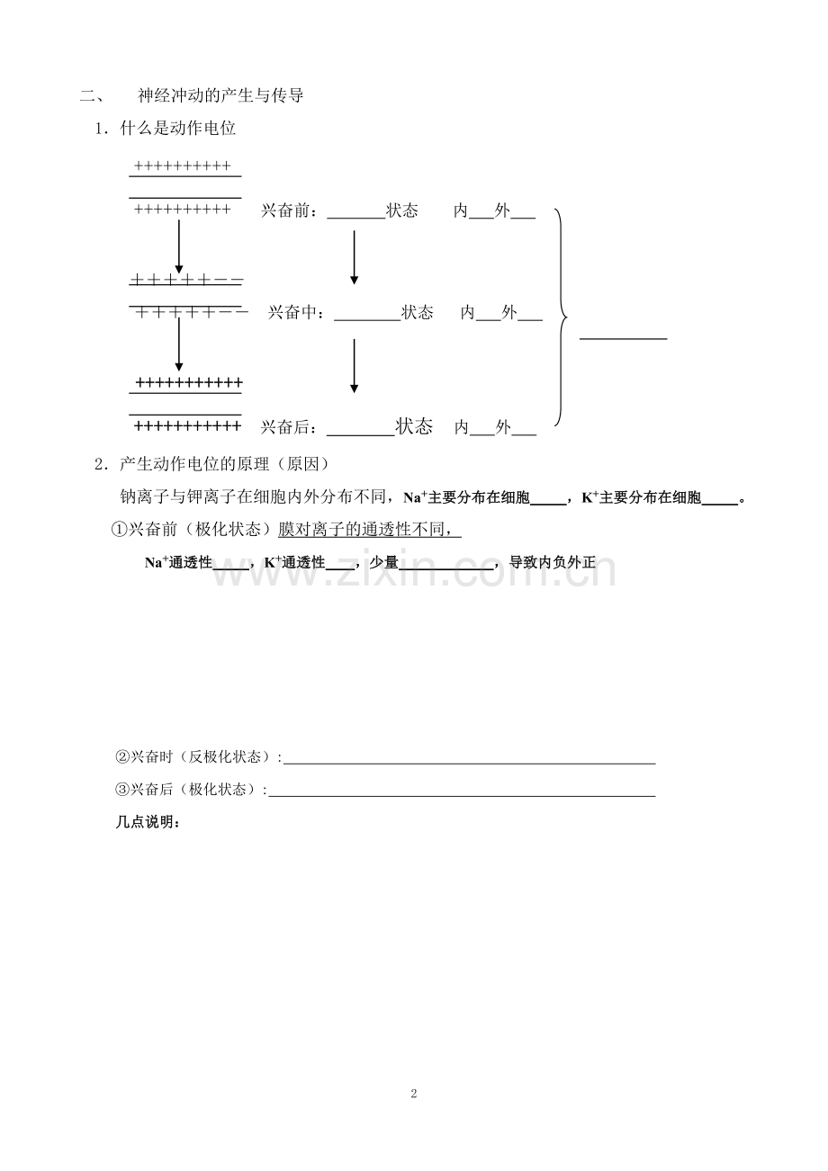 必修三第二章第二节-神经系统的结构与功能.doc_第2页