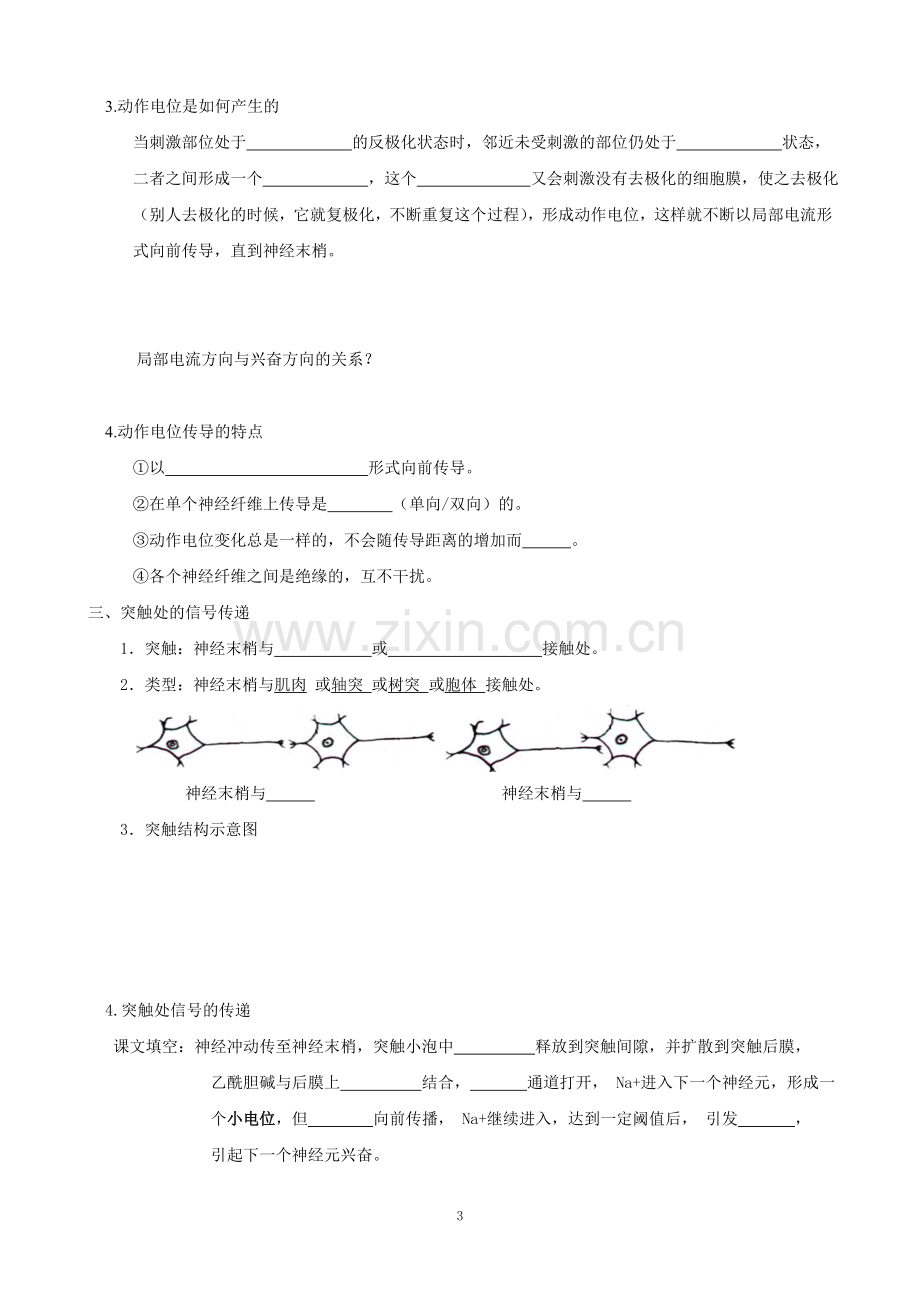 必修三第二章第二节-神经系统的结构与功能.doc_第3页