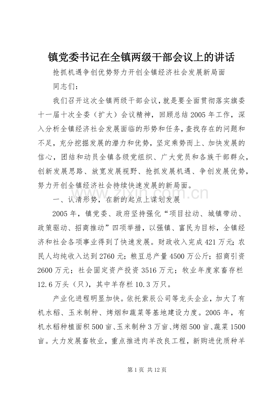 镇党委书记在全镇两级干部会议上的讲话.docx_第1页