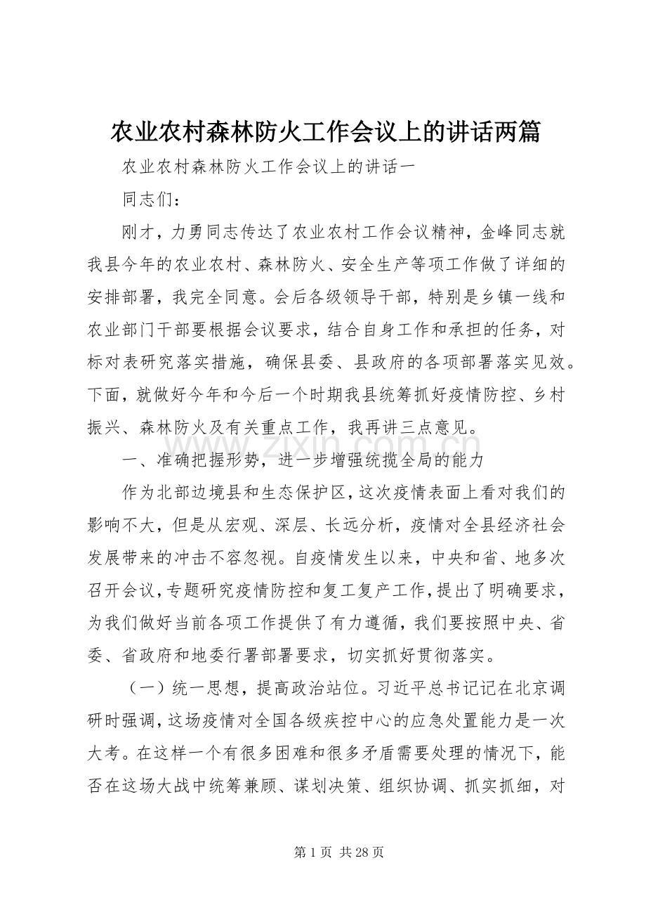 农业农村森林防火工作会议上的讲话两篇.docx_第1页